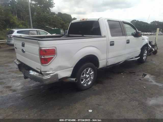 2013 FORD F-150 XLT VIN: 1FTFW1CFXDFB33981