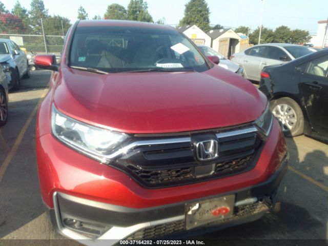 2HKRW1H53LH406339 Honda CR-V EX
