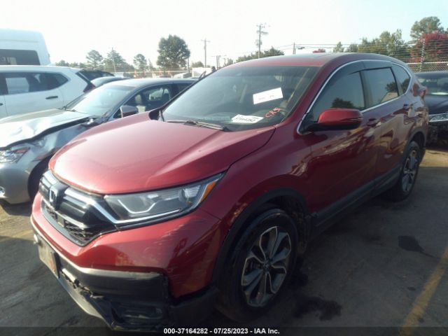 2HKRW1H53LH406339 Honda CR-V EX