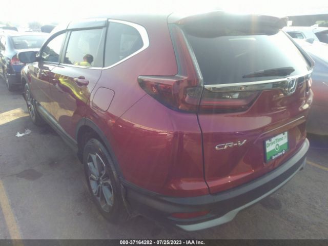 2HKRW1H53LH406339 Honda CR-V EX