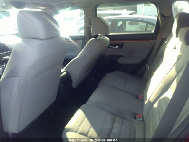 2HKRW1H53LH406339 Honda CR-V EX