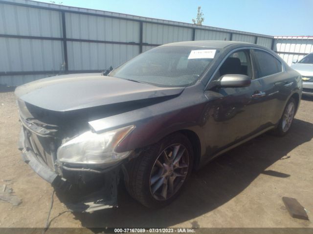1N4AA5AP9EC440126 Nissan Maxima 3.5 S