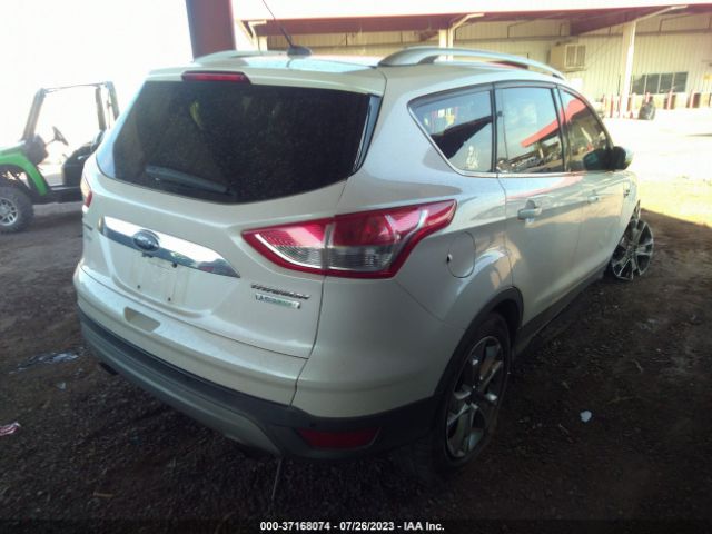 1FMCU0J98EUB49864 Ford Escape Titanium