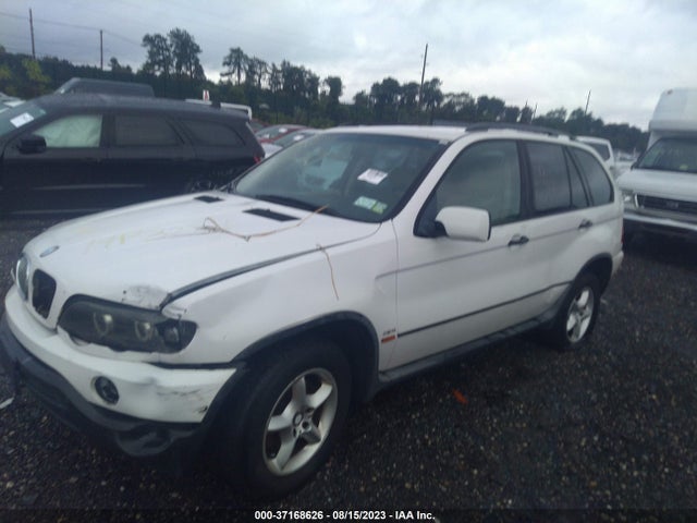 2002 BMW X5 3.0I VIN: 5UXFA53542LP32210