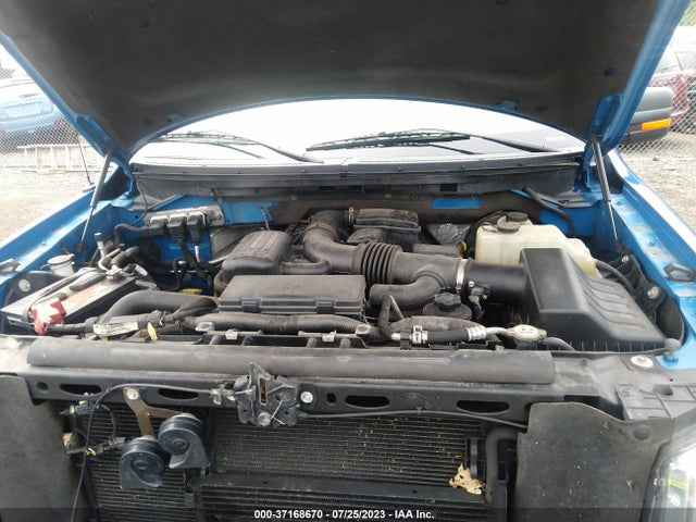 2009 FORD F-150 XL/XLT/FX4/LARIAT VIN: 1FTPX14V69FA45315