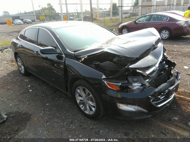 2019 1G1ZD5ST8KF179526 main image