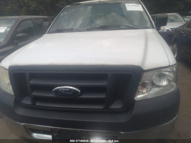 2006 FORD F-150 XL/STX/XLT VIN: 1FTRF12W66NB66256