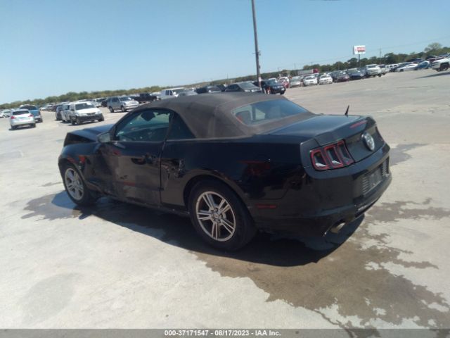 1ZVBP8EM8E5275735 Ford Mustang V6