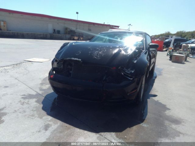 1ZVBP8EM8E5275735 Ford Mustang V6
