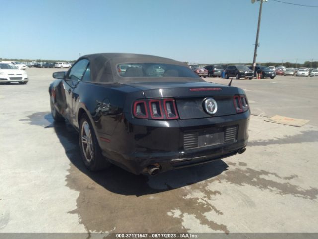 1ZVBP8EM8E5275735 Ford Mustang V6