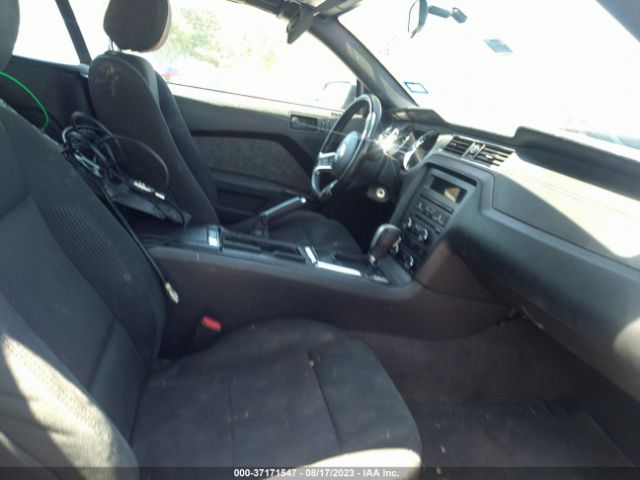 1ZVBP8EM8E5275735 Ford Mustang V6