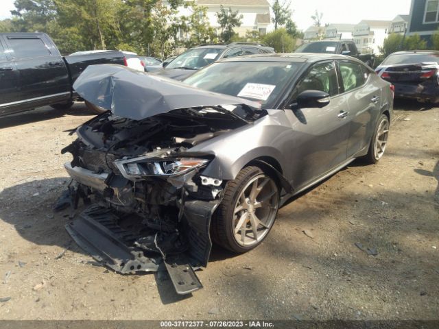 1N4AA6APXHC426794 Nissan Maxima Platinum