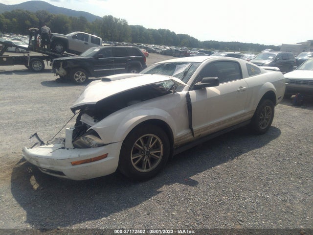 2005 FORD MUSTANG DELUXE/PREMIUM VIN: 1ZVFT80N955239307