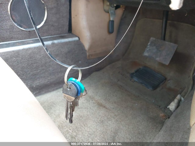 1989 JAGUAR XJS SAJNA5847KC149418 Photo 10