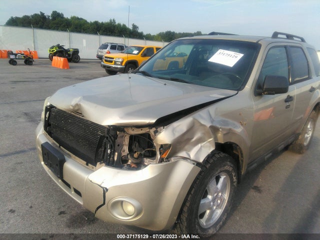 2010 FORD ESCAPE XLT VIN: 1FMCU9D70AKC91923