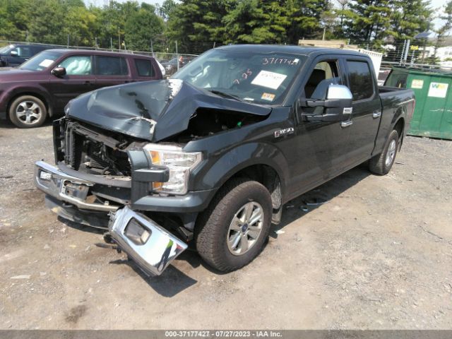 1FTFW1EFXFFB02536 Ford F-150 Xlt W