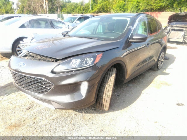 Ford ESCAPE SEL 2020 1FMCU9H91LUB29933 Image 2