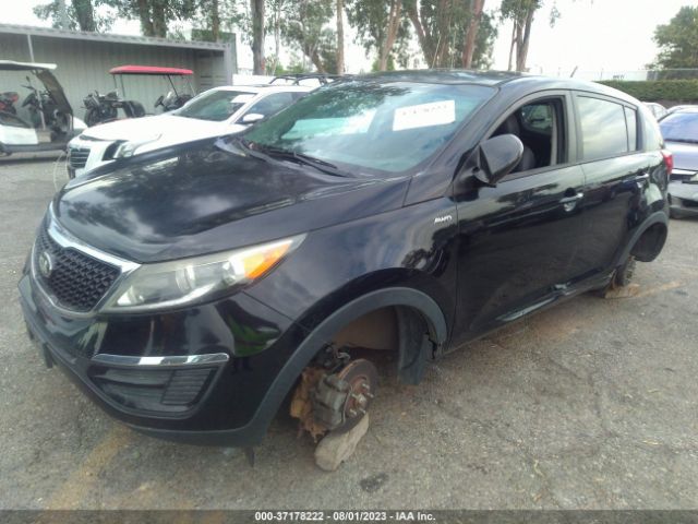 KNDPBCAC6G7810768 KIA Sportage Lx