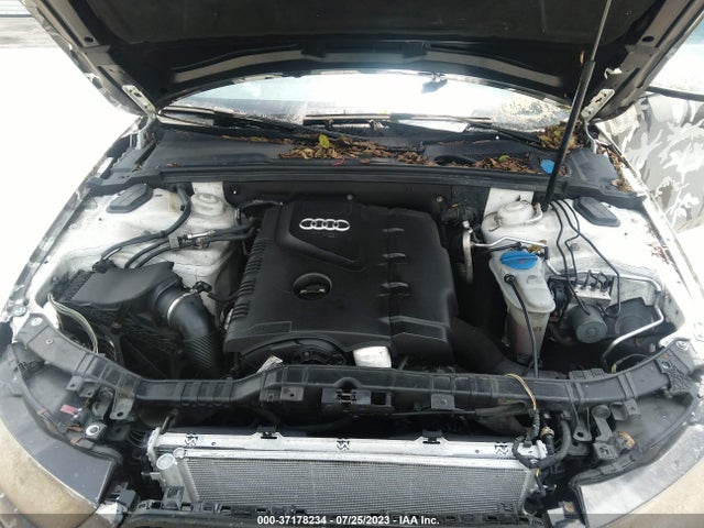 WAUAFAFL9EA086028 Audi A4 PREMIUM