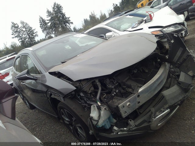 2019 Lexus UX, VIN: JTHY3JBH7K2003938