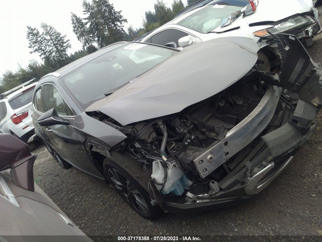 2019 Lexus UX, VIN: JTHY3JBH7K2003938