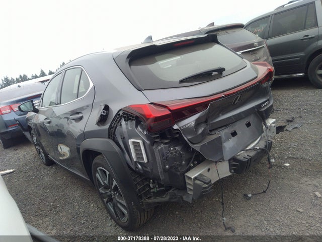 2019 Lexus UX, VIN: JTHY3JBH7K2003938
