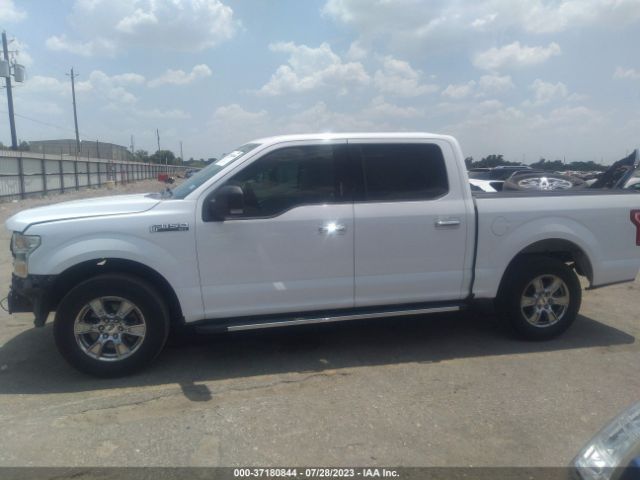1FTEW1C80FKD40645 Ford F-150 Xlt/xl