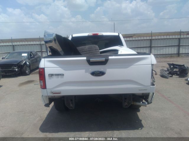 1FTEW1C80FKD40645 Ford F-150 Xlt/xl