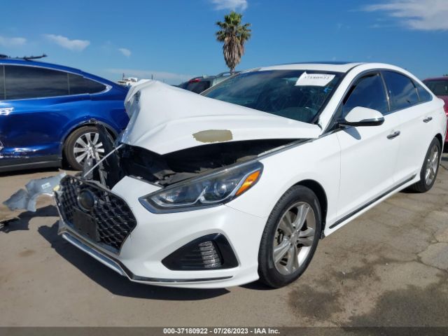 5NPE34AF1JH703277 Hyundai Sonata Sport+