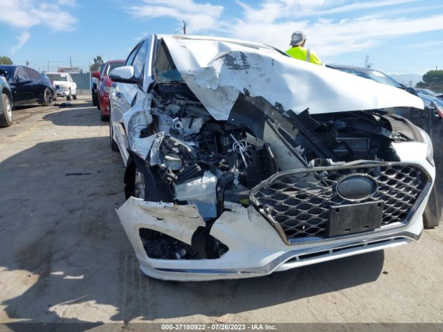 5NPE34AF1JH703277 Hyundai Sonata Sport+