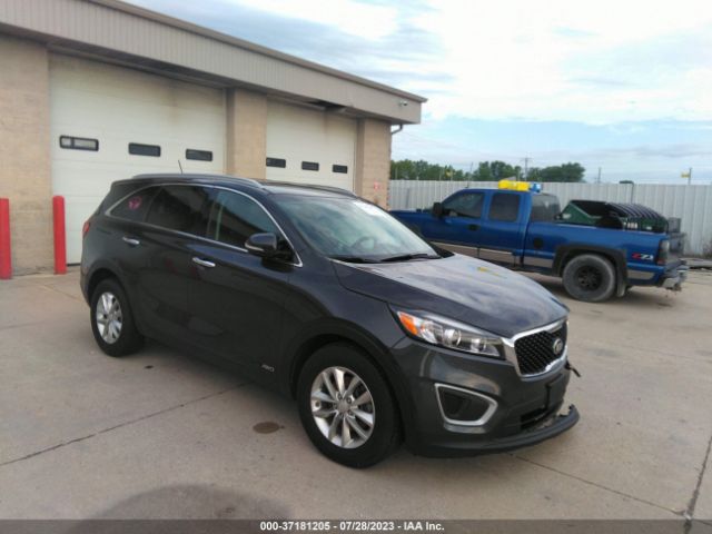 2016 5XYPGDA35GG168683 main image