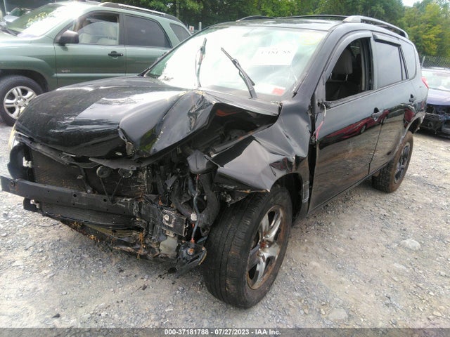 2010 TOYOTA RAV4 VIN: JTMBF4DV5AD023059