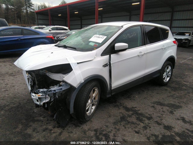 Ford ESCAPE SE 2015 1FMCU9GX4FUB57343 Image 2