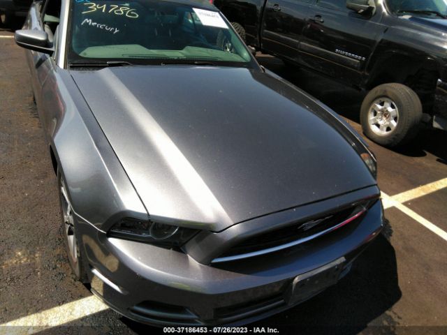 1ZVBP8EM2E5279246 Ford Mustang V6