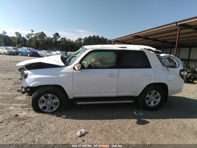 Toyota 4RUNNER SR5 2023 JTEMU5JR5P6131847 Image 6