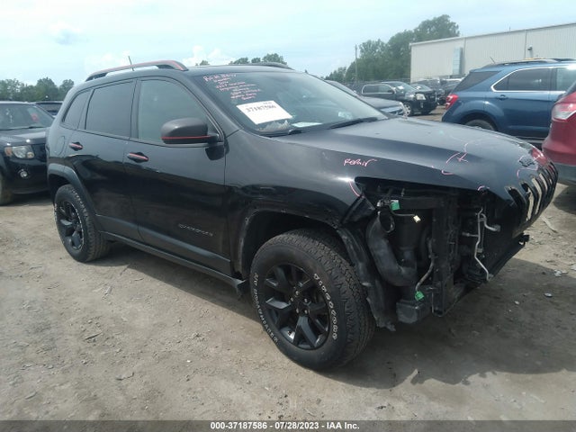 2016 JEEP CHEROKEE TRAILHAWK VIN: 1C4PJMBS2GW100996