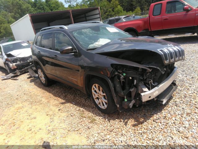 1C4PJLCS2GW173259 auction archive image