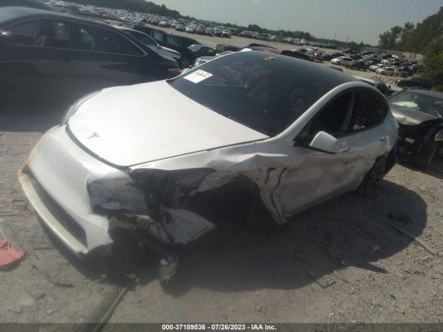 5YJYGDEF6MF197234 Tesla Model Y Performance