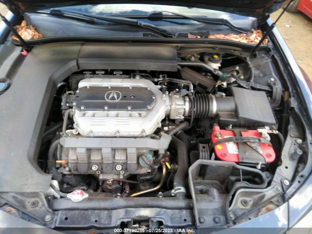 19UUA9F21EA801101 Acura TL