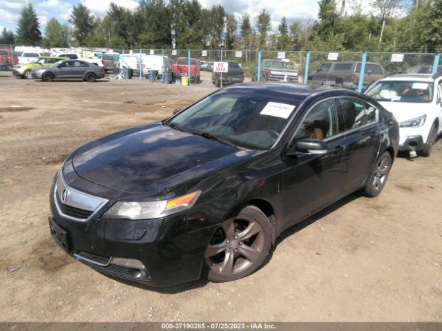 19UUA9F21EA801101 Acura TL