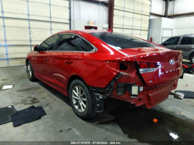 Hyundai SONATA SE 2019 5NPE24AF7KH794172 Image 3