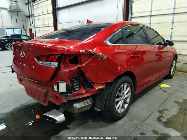 Hyundai SONATA SE 2019 5NPE24AF7KH794172 Image 4