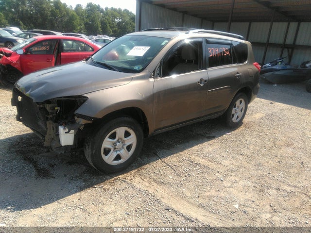 2010 TOYOTA RAV4 VIN: 2T3BF4DV4AW075172