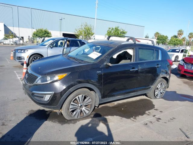 KNDPCCAC3F7769348 KIA Sportage Ex