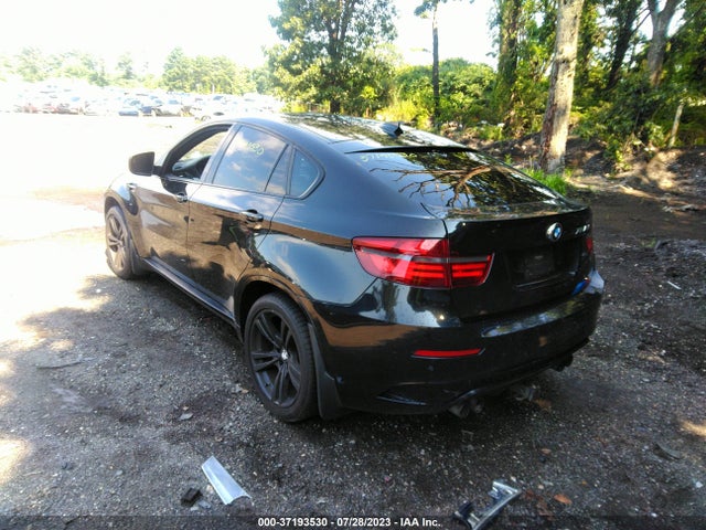 5YMGZ0C58E0C40393 BMW X6 M