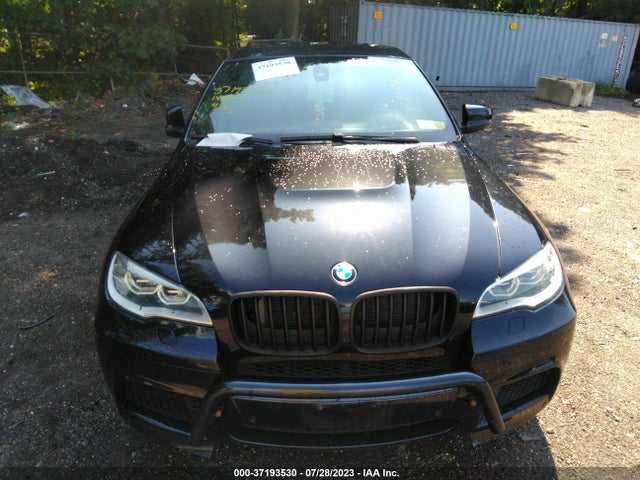 5YMGZ0C58E0C40393 BMW X6 M
