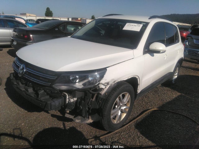 WVGBV7AX6HK025916 Volkswagen TIGUAN