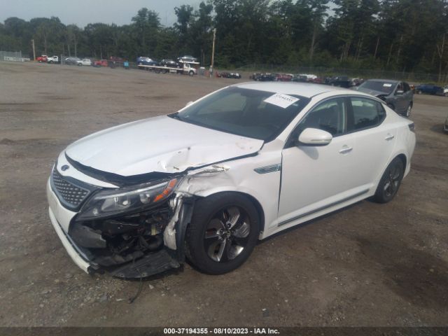 KNAGM4AD8F5088669 KIA OPTIMA HYBRID