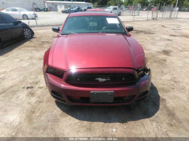 1ZVBP8AM8E5324549 Ford Mustang V6