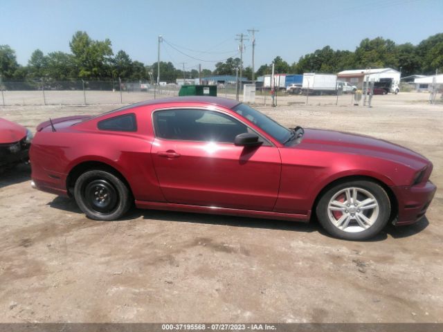 1ZVBP8AM8E5324549 Ford Mustang V6